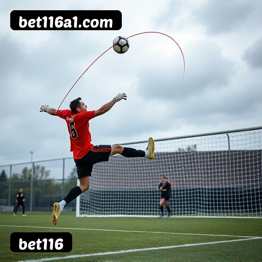 Estatísticas de bônus da bet116 em São Paulo, Rio de Janeiro e Brasília