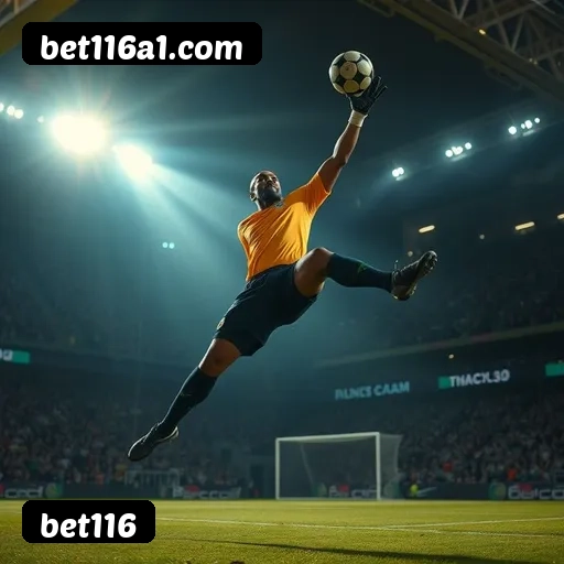 Níveis do programa VIP da bet116